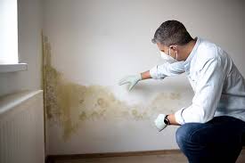 Best Industrial Mold Remediation  in Amite City, LA